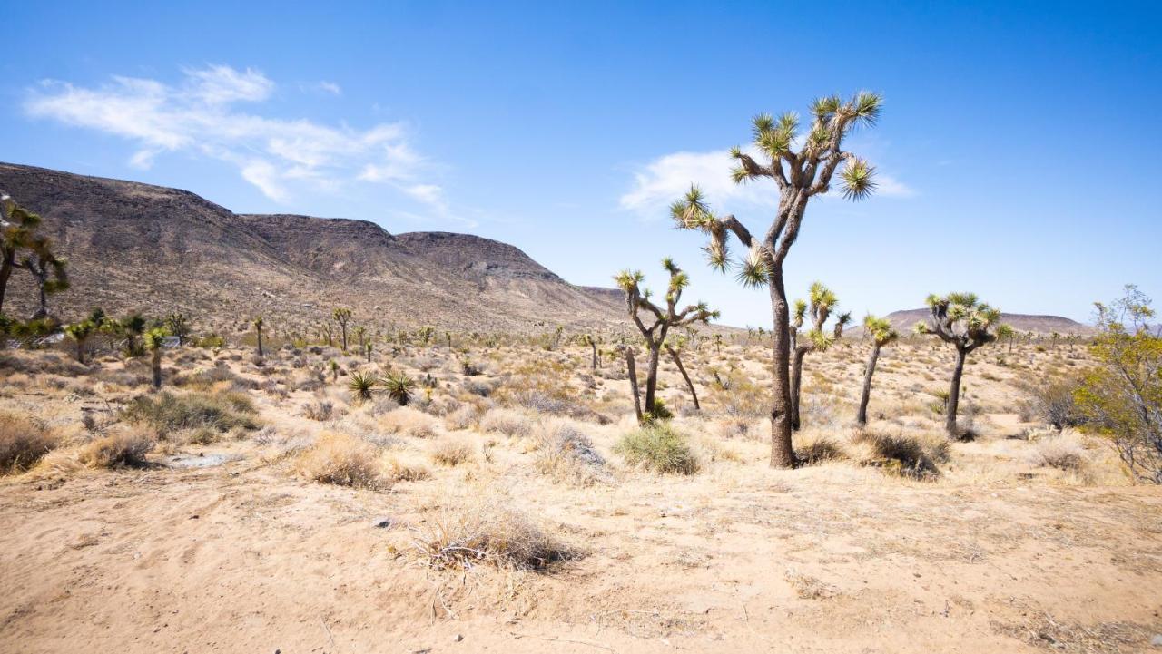 Hotel Wind Hill à Yucca Valley Extérieur photo